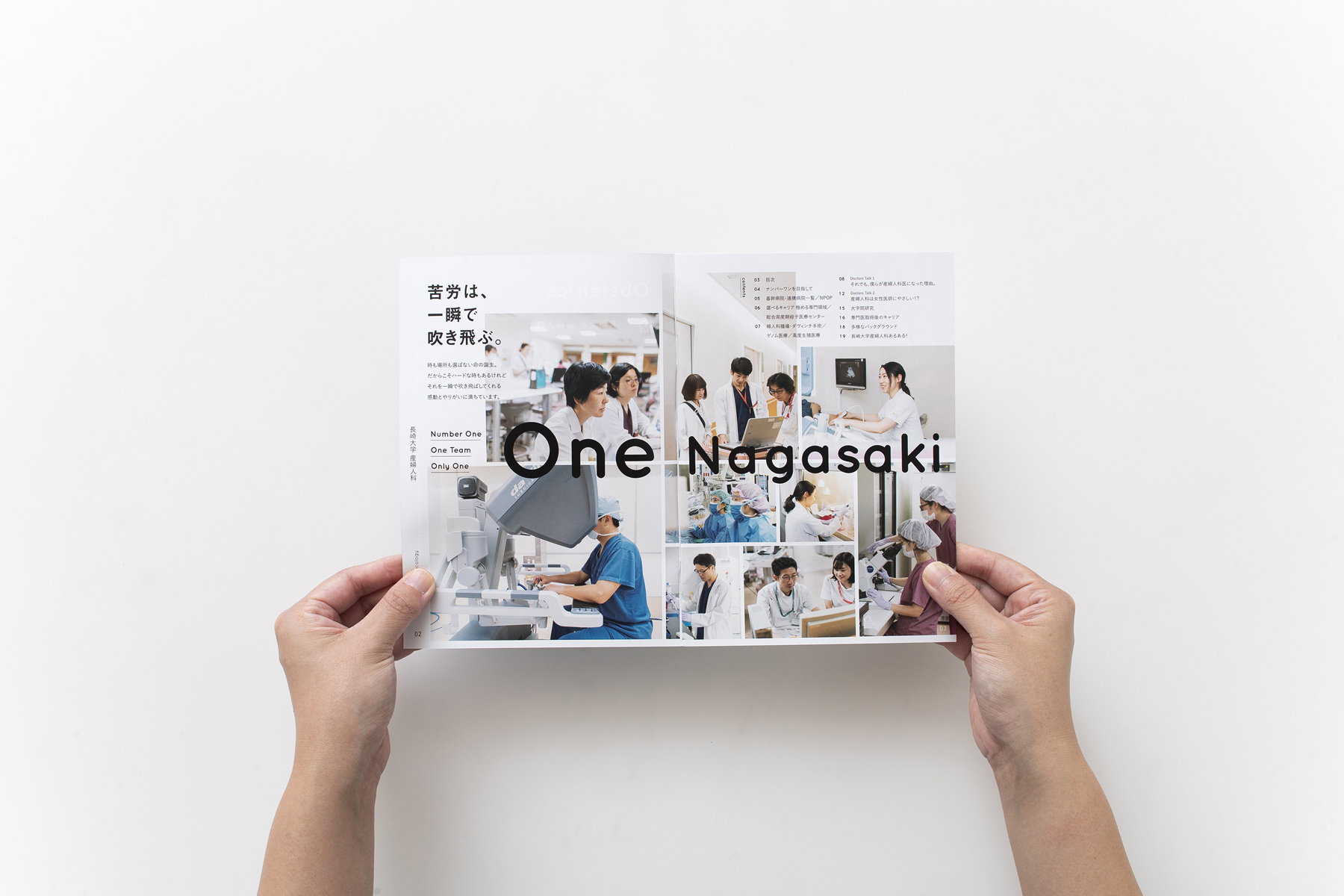  Flogo Rosa 婦人科ソリューションのリーフレット